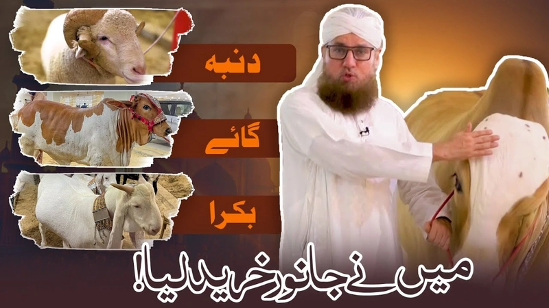 Abdul Habib Attari Kay Qurbani Kay Janwar | Qurbani Story | Qurbani Interview